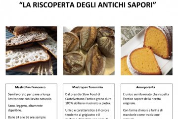 DIMOSTRAZIONE IN COLLABORAZIONE CON ALPI PRESSO LA 