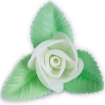 ROSA BIANCA 3 FOGLIE 10118 PZ 100