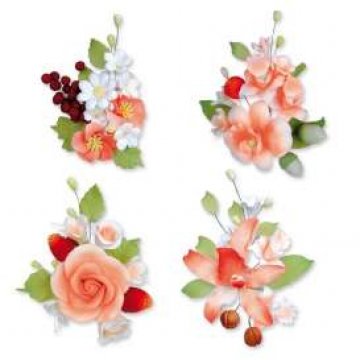 BOUQUET ROSSO FRUTTA H 12 PZ 10