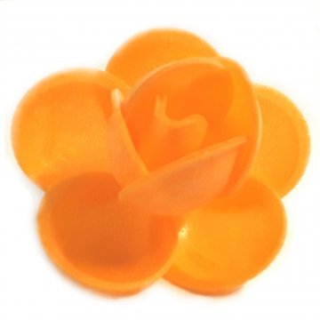 ROSA CIALDA ARANCIO 10112 PZ 100