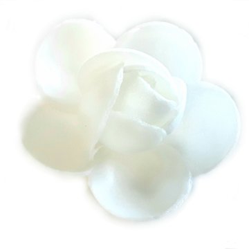 ROSA CIALDA BIANCA 10112 PZ 100