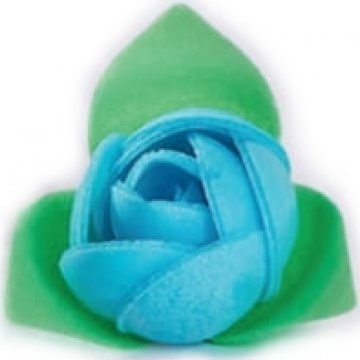 ROSA CIELO 10116 ELITE PZ 200