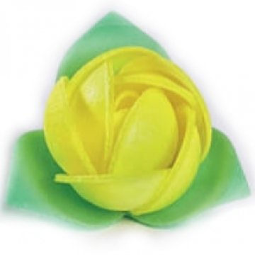 ROSA GIALLO 10116 ELITE PZ 200