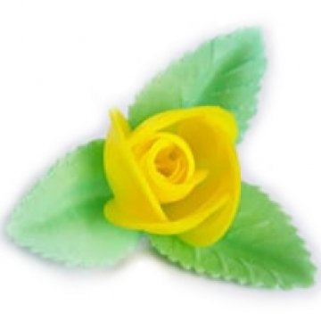 ROSA GIALLO 3 FOGLIE 10118 PZ 100