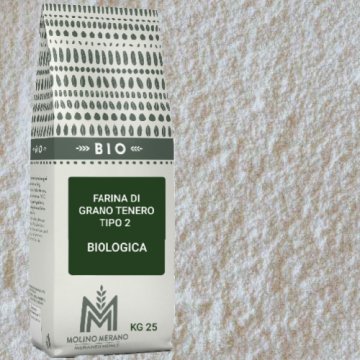 FARINA DI GRANO TENERO TIPO 2 BIOLOGICA KG 25