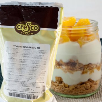 YOGURT TIPO GRECO 100 KG 1