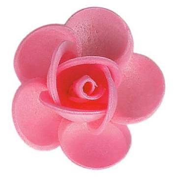 ROSA CIALDA ROSA 10112 PZ 100