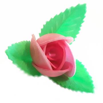 ROSA ROSA 3 FOGLIE 10118 PZ 100