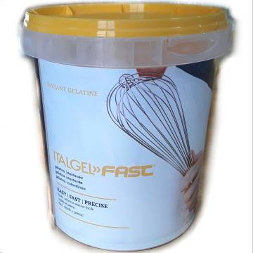 GELATINA ALIMENTARE IN POLVERE FAST GR 500