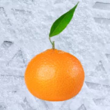 *SUCCO DI MANDARINO CIACULLI CONF. 1 KG X12